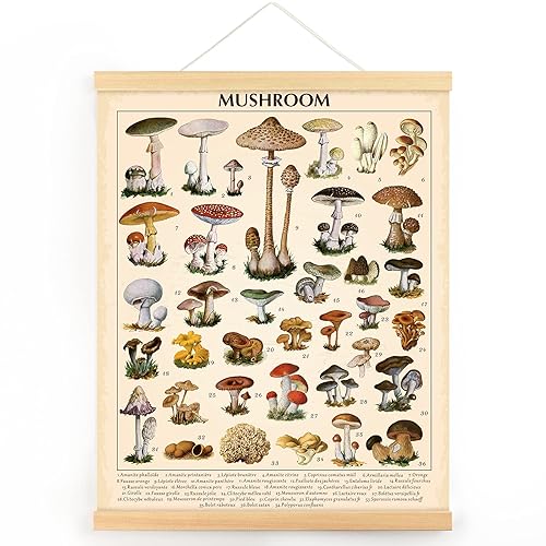 Vintage Mushroom Poster Fungus Wall Art Prints Rustic Mushroom Wall Hanging Illustrative Reference Chart Poster for Living Room Office Classroom Bedroom Dining Room Decor Frame, 15.7 x 19.7 Inches
