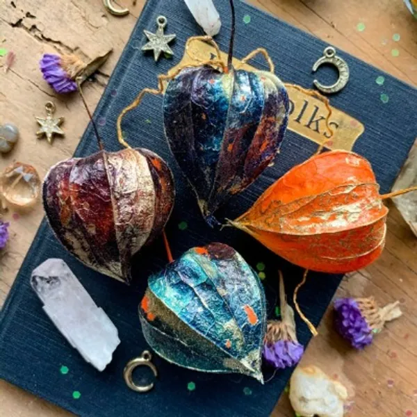 Mystic Lantern Gift Set Set of 4 Chinese Lantern Plant Hand | Etsy