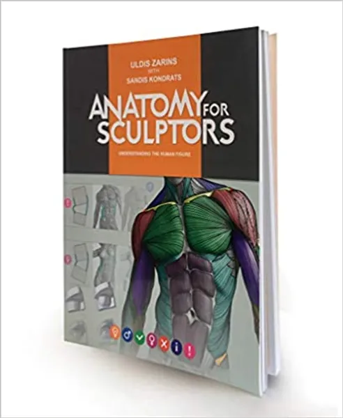 Anatomy for Sculptors Understanding the Human Figure