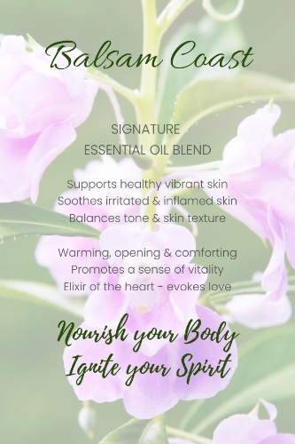 Aromatherapy Essential Oil Bath Bombs - A Luxury Spa Experience - Balsam Coast 6 pack - 85 grams per bomb