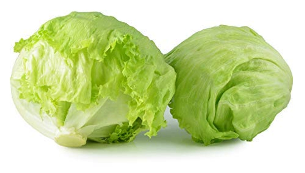 500 Iceberg Lettuce Seeds for planting - Heirloom Non-GMO USA Grown Premium Vegetable Seeds for Planting Home Garden - Crisphead Heading Lettuce Lactuca Sativa by RDR Seeds