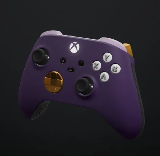 Xbox - Custom controller