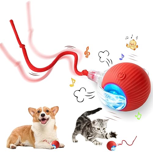 Interactive Cat Toy