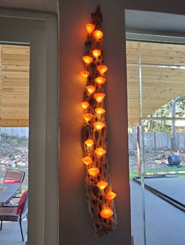 Handmade 18-20" Copper Wall Hanging Mushroom Cholla LED Lamp
