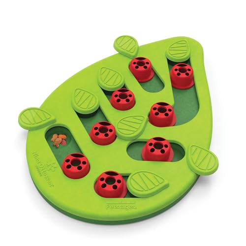 Interactive Cat Treat Puzzle - Buggin Out