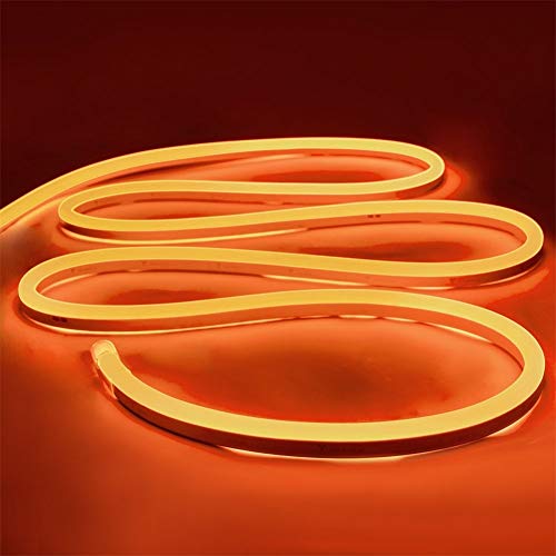 iNextStation Neon LED Strip Light 16.4ft/5m Neon Light Strip 12V Silicone LED Neon Rope Light Waterproof Flexible LED Neon Lights for Bedroom Indoors Outdoors, Orange (Power Adapter not Included) - Orange