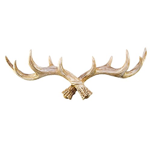 Hansmeier Antler Wall Coat Hook, Clothes Hook - Stylish, Elegant and Modern - White - 49 cm - Deer Antler Decoration - Multi-Purpose Hook and Wall Decoration - High Load Capacity