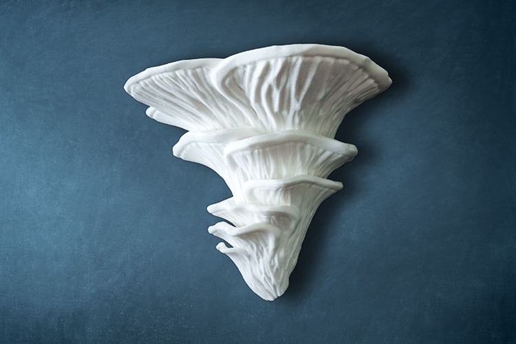 The Osaka | Bananaco