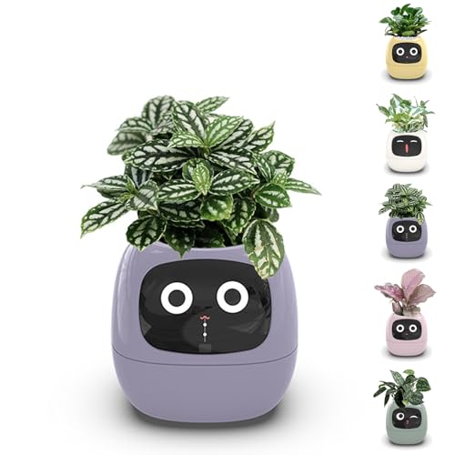 Plantagotchi Smart Plant Pot, Ai Smart Planter, Lazy Automatic Water-Absorbing Flowerpot, Smart Pet Planter Robot Guidance On Plant Care With Emoji, for Indoor Decoration, Gift (Purple) - Purple