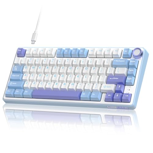 RK ROYAL KLUDGE R75 Mechanical Keyboard Wired with Volume Knob, 75% Custom Gaming Keyboard Gasket Mount RGB Backlit with Software, Cherry Profile, Hot Swappable Silver Switch, PBT Keycaps - Premium - Silver Switch Pro - purple