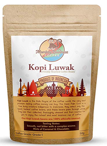 Monkey Business Coffee - Wild Kopi Luwak Coffee Whole Beans - Ethically Sourced - 50 Grams (1.75oz) (Other Weights & Bean Types Available) - Produce of Indonesia - Whole Bean - 1.76 Ounce (Pack of 1)