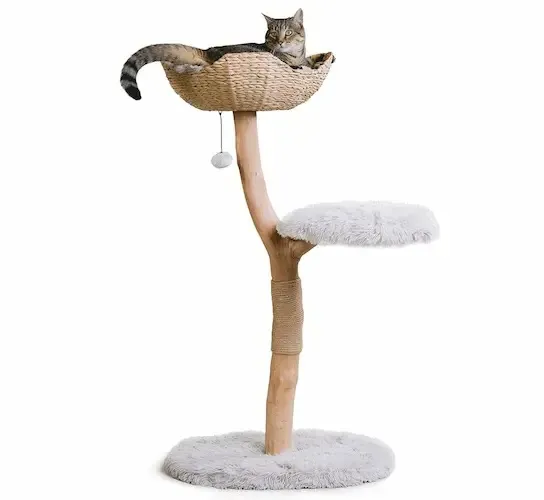 Cat Tree for Lucy and Peter