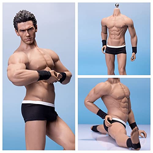 HiPlay TBLeague 1/6 Scale Seamless Male Action Figure Body- 12 Inch Super Flexible Collectible Figure Dolls (M33) - M33