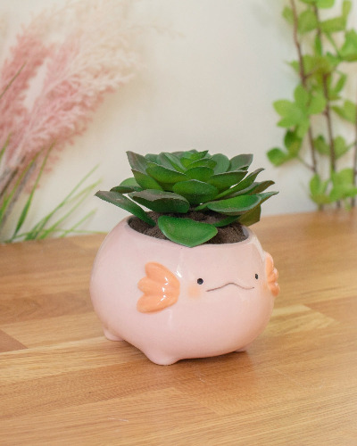 Axolotl planter