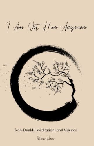 I Am Not Here Anymore: Non-Duality Meditations and Musings