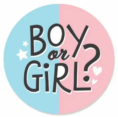 Early Gender Scan!!!!!