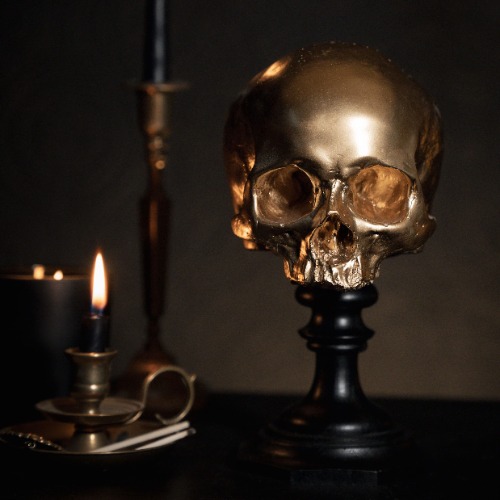 Aureate - Golden Skull Plinth