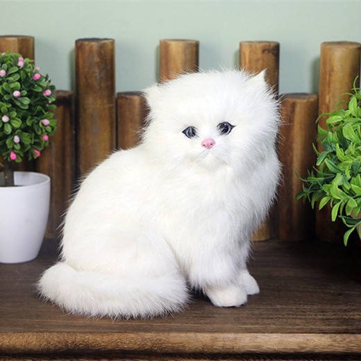Realistic Plush Persian Cat Model - White