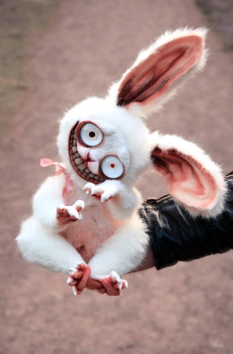 Crazy Bunny
