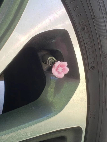 Pastel Sakura Cherry Blossom Flower Valve Stem Caps, Kawaii JDM Car Accessories, Kawaii Car Accessories, Kawaii Cherry Blossom Accessories