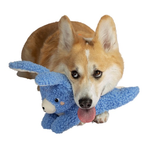 Squeaks A lot Bo Bunny Dog Toy by Manhattan Toy
