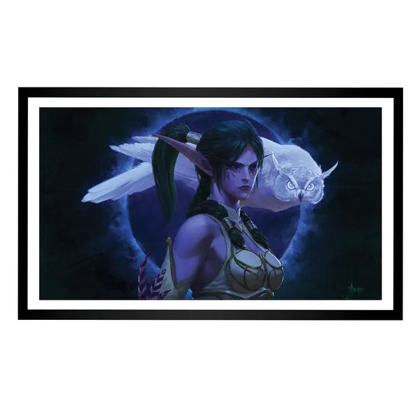 World of Warcraft Tyrande 14 x 24in Framed Art Print | Default Title