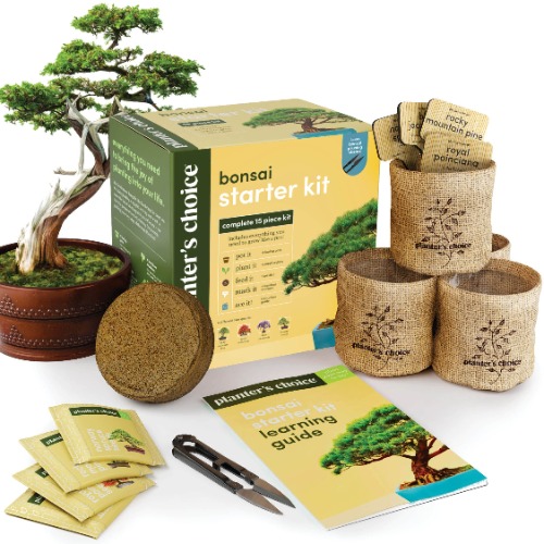 New Bonsai Starter Kit - Gardening Gifts for Women & Men - Unique DIY Hobbies, Crafts Hobby Kits for Adults - Unusual Christmas Gift Ideas for Garden Plant Lovers, or Gardener Mother (Bonsai) - 