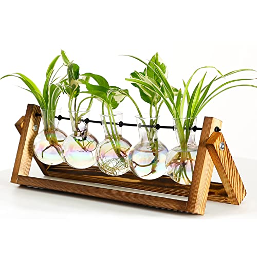 XXXFLOWER Plant Terrarium Propagation Station with Wooden Stand for Gardening Plant Gifts Air Planter Bulb Glass Vase Retro Tabletop Holder Hydroponics for Indoor Decoration-5 Colourful Bulb Vase - 5-Bulb Vase