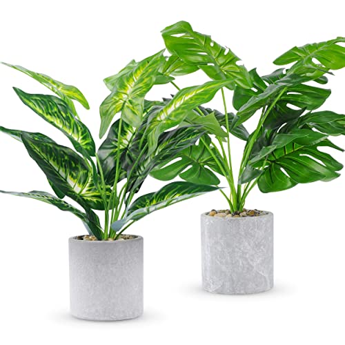 WUKOKU 2pcs Fake Plants 16" Faux Plants Artificial Potted Plants Indoor for Home Office Farmhouse Kitchen Bathroom Table Shelf Decor - Taro and Monstera Leaf Plants