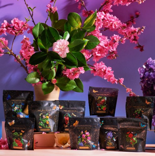 Cosmic Garden Iced Tea Sampler Set | Default Title