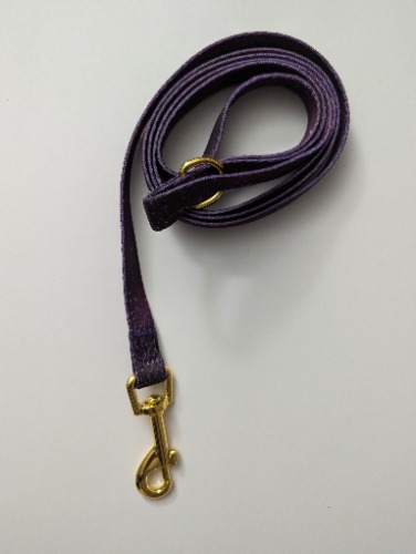 Galaxy Pet Regular Leash - L