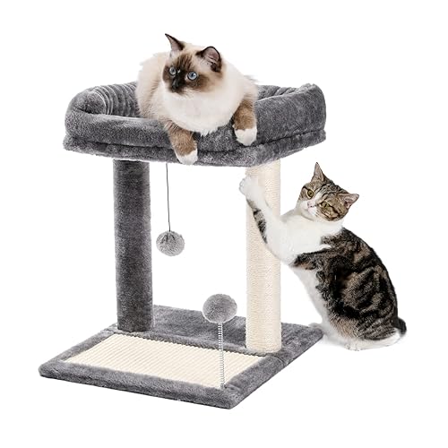 PAWZ Road Cat Scratching Post Bed, Small Cat Tree Tower with Cat Scratcher Pad Large Top Removable Bed with Play Ball Great for Kittens and Cats - Cat Post with Perch
