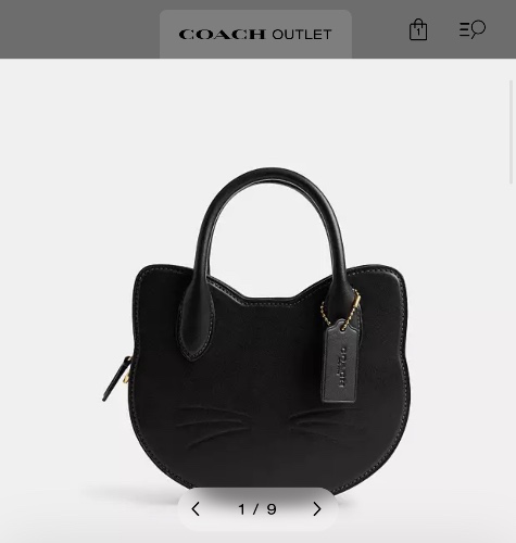 Coach Cat Bag