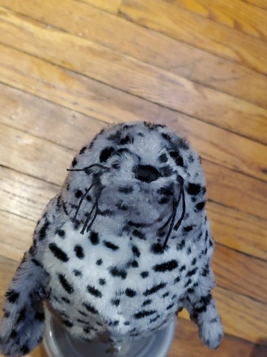 webkinz spotted gray seal