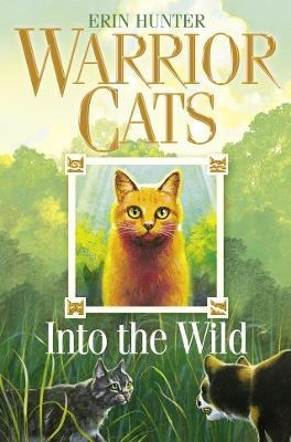  Warrior cats Into the Wild BOOK