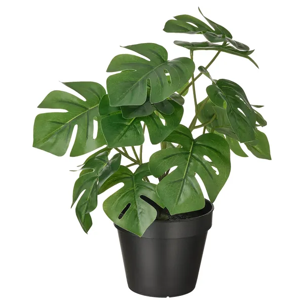 FEJKA Artificial potted plant - in/outdoor Monstera 12 cm
