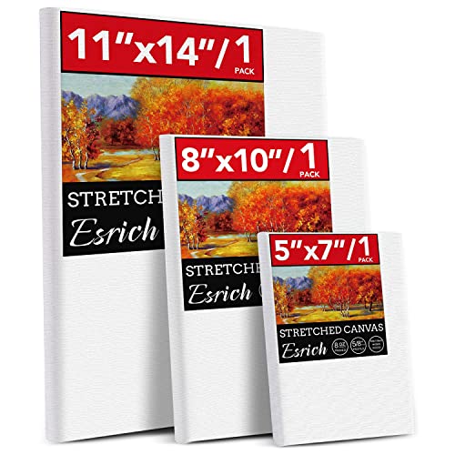 3 Pack Canvases