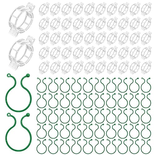 QHYCWIN 100 Plus 100 Plant Support Clips, Two Types of Clips,Upgrade Plastic Plant Clips,for Support Grape and Tomato Vine,Vegetables Plants,Garden Clips to Grow Upright (Green White)