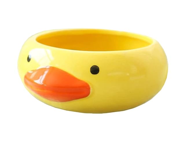 123Arts Ceramic Duck Planter Cartoon Succulent Planter Pot Flower Pot Planter