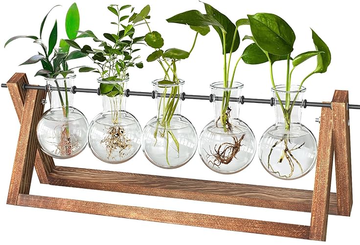 CFMOUR Plant Terrarium with Wooden Stand, Desktop Propagation Stations Glass Air Planter Metal Swivel Holder for Indoor Live Hydroponics Plants Office Home Garden Decor (5 Bulb Vase) - 5 Vase