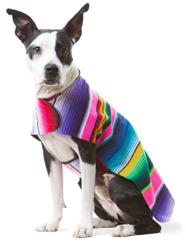 Dog Clothes - Handmade Dog Poncho from Authentic Mexican Blanket by Baja Ponchos (Pink, XXL) - Pink XX-Large