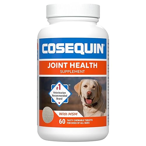 Nutramax Laboratories Cosequin Maximum Strength Joint Health Supplement for Dogs - With Glucosamine, Chondroitin, and MSM, 60 Chewable Tablets - 60 count