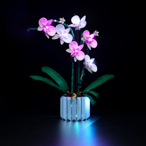 Welkin DC LED Light Kit for Lego Orchid 10311 Plant Decor Building Set, USB Connecting Lighting Set Compatible with (Lights Only, No Models)