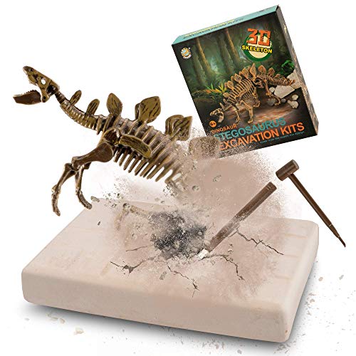 VIBIRIT Dig Up Dinosaurs Skeleton Set,Dinosaur Digging Fossil Kit Model Toys Educational Realistic Toys for Kids,Boys,Girls - Stegosaurus