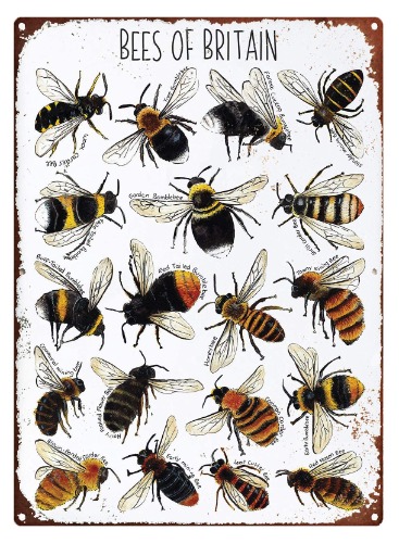 Metal Sign For Backyard Bees Of Britain Print Bumblebee Metal Sign Bee Collection Bee Illustration Nursery Print Wildlife Print Nature Print Sign Decor 8x12 Inch