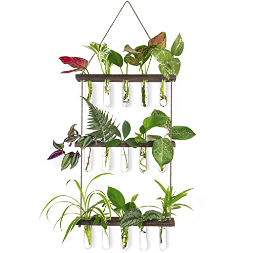 Ivolador Wall Hanging Planter Terrarium with Wooden Stand, 3 Tiered Mini Test Tube Flower Vases Retro Hanging Glass Planter Propagator for Hydroponic Plants Cutting Home Office Garden Decor(Brown) - Brown
