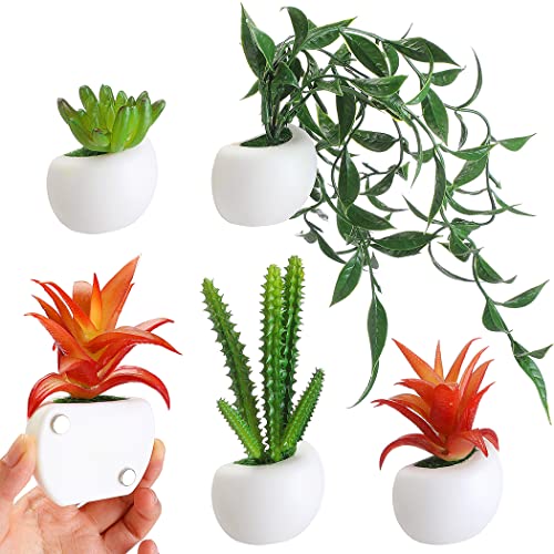 JUSTDOLIFE Plant Refrigerator Magnets, Artificial Potted Succulent Plants for Shelf Kitchen Counter Office Decor, Succulent Plants Fridge Magnets for Kitchen Office School Whiteboard Locker - White4