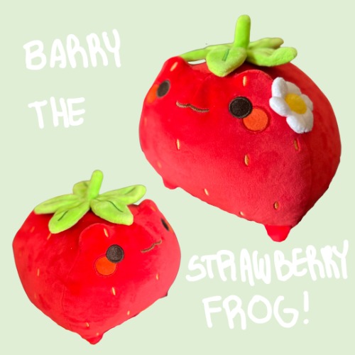 Barry the Strawberry Frog