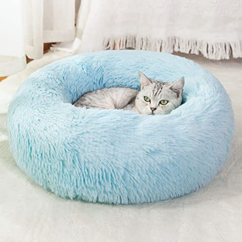 Cat Beds for Indoor Cats,24 Inch Dog Bed for Small Melium Large Dogs, Washable-Round Pet Bed for Puppy and Kitten with Slip-Resistant Bottom - 24 Inch - Shag Baby Blue