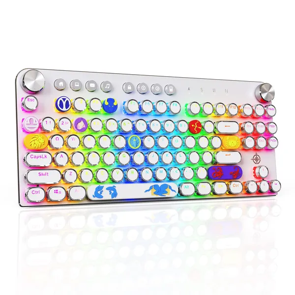 STOGA Typewriter Keyboard, Mechanical Keyboard with RGB Backlit, 87 Keys Brown Switch RGB Keyboard with Media Control Knobs, Retro Round Keys Gaming Keyboard, White(Complimentary Zodiac Keycap Set)
